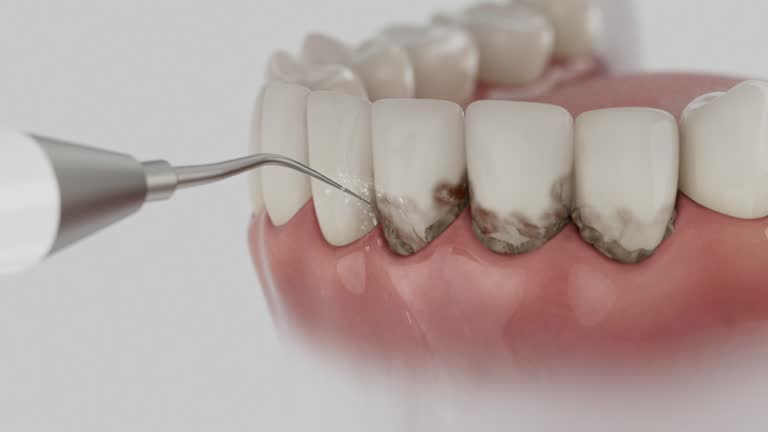 Reliable Dental contractor in Wilkinsburg, PA by Dentist Open Now